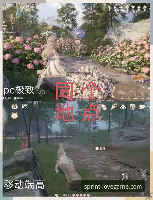 爱游戏用户登录对比：PC端与手机端体验全面解析